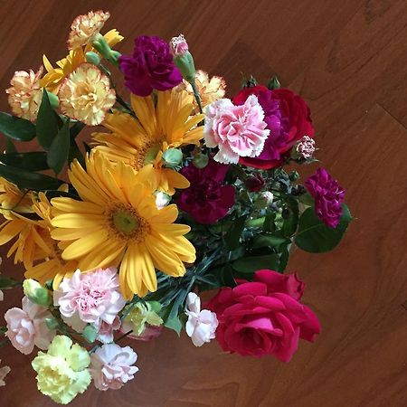 Guesthouse Flora Лоди Экстерьер фото