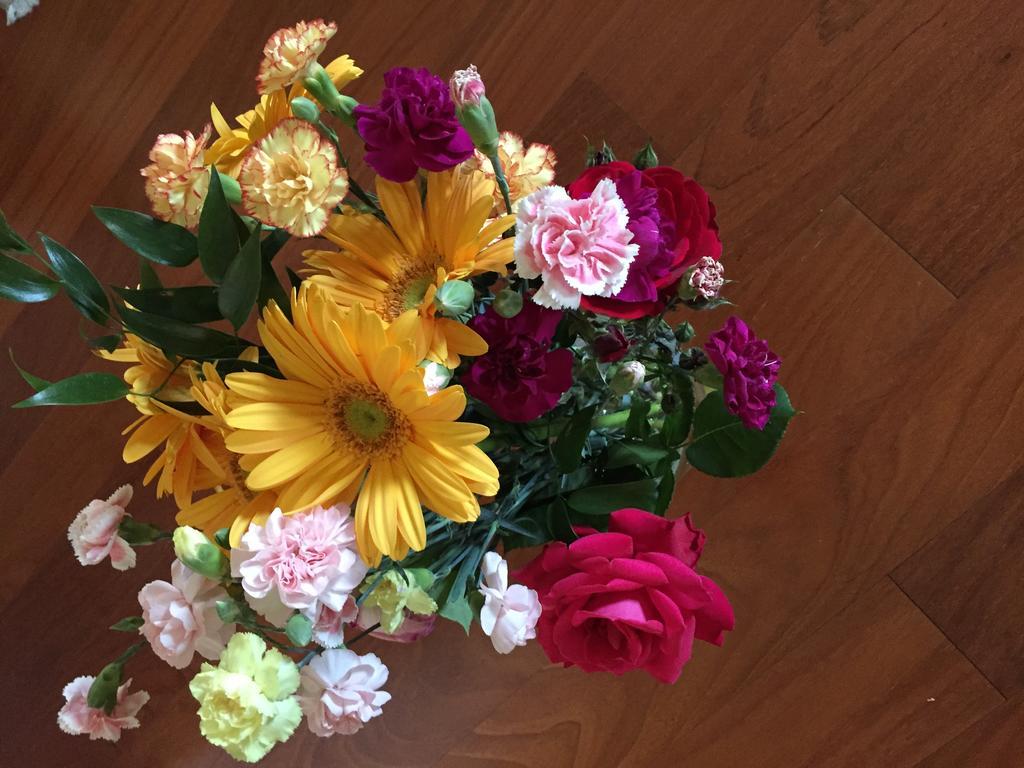 Guesthouse Flora Лоди Экстерьер фото